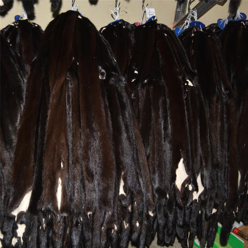 動(dòng)物皮草有哪些？